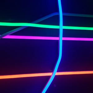 Neon Colorful Sunglasses